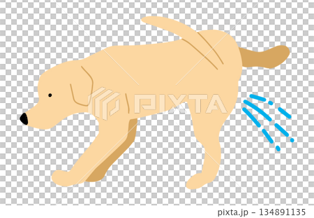 犬　手書きイラスト　マーキング 134891135