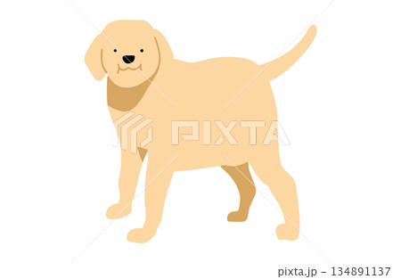 犬　手書きイラスト　肥満 134891137