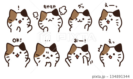 ねこ表情2 134891344