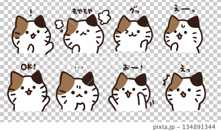 ねこ表情2 134891344
