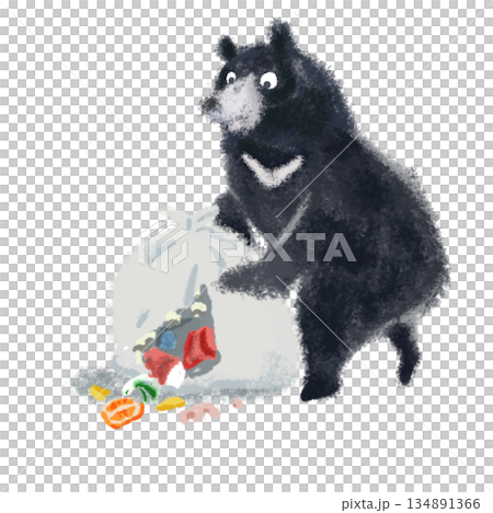 ゴミ袋を漁るクマのイラスト 134891366