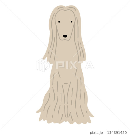 犬　手書きイラスト　アフガンハウンド 134891420