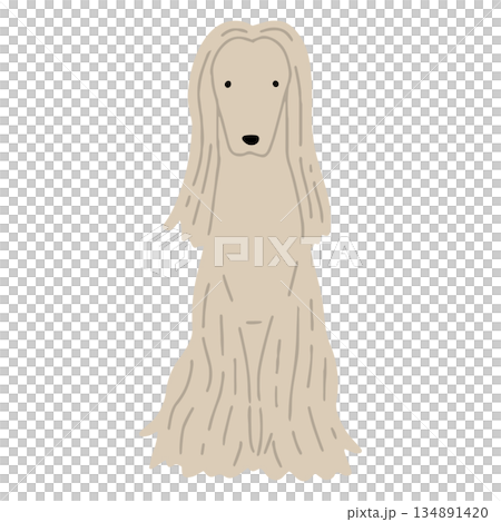 犬　手書きイラスト　アフガンハウンド 134891420
