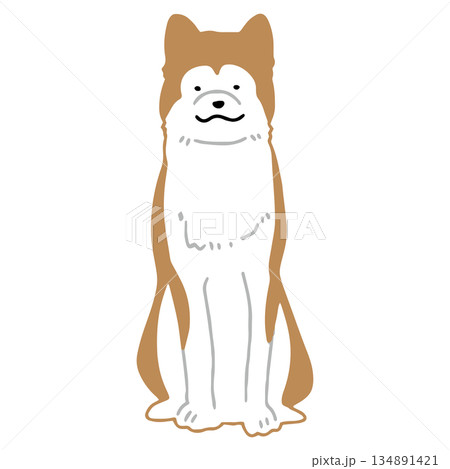 犬　手書きイラスト　秋田犬 134891421