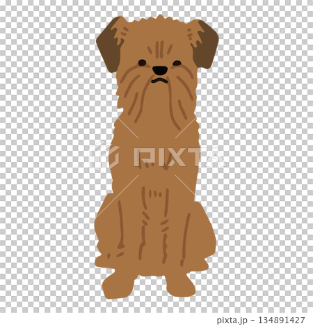 手繪布魯塞爾格里芬犬插圖 手繪布魯塞爾格里芬犬插圖 134891427