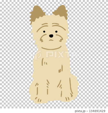 手繪凱恩梗犬插圖 手繪凱恩梗犬插圖 134891429