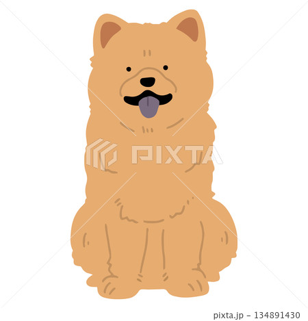 犬　手書きイラスト　ちゃうちゃう 134891430