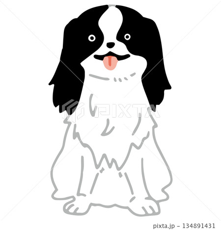 犬　手書きイラスト　狆　ちん 134891431