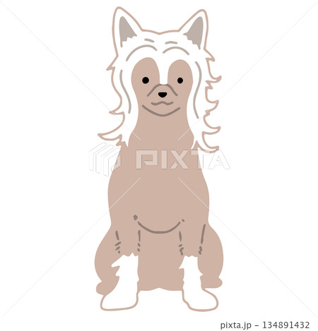 犬　手書きイラスト　チャイニーズクレステッドドッグ 134891432