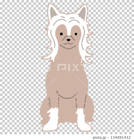 犬　手書きイラスト　チャイニーズクレステッドドッグ 134891432