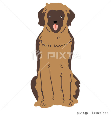 犬 手書きイラスト レオンベルガー 犬 手書きイラスト レオンベルガー 134891437