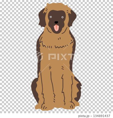 犬 手書きイラスト レオンベルガー 犬 手書きイラスト レオンベルガー 134891437