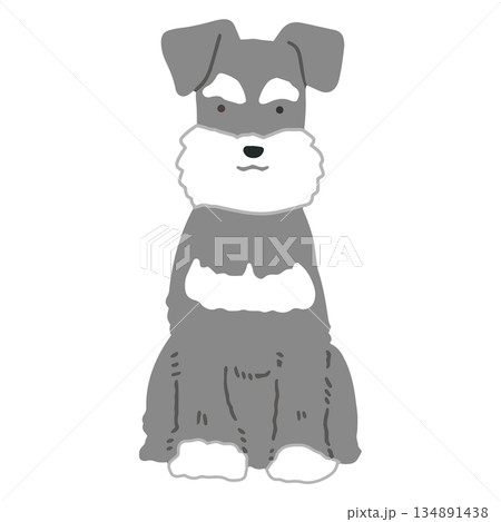 犬 手書きイラスト ミニチュアシュナウザー 犬 手書きイラスト ミニチュアシュナウザー 134891438