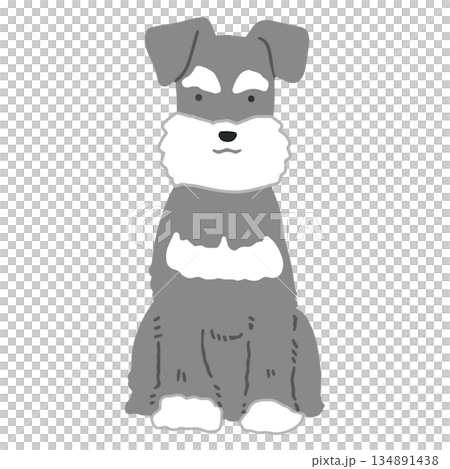 犬 手書きイラスト ミニチュアシュナウザー 犬 手書きイラスト ミニチュアシュナウザー 134891438