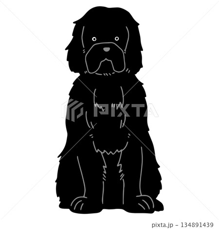 犬 手書きイラスト ニューファンドランド 犬 手書きイラスト ニューファンドランド 134891439