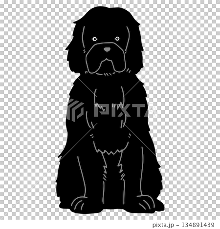 犬 手書きイラスト ニューファンドランド 犬 手書きイラスト ニューファンドランド 134891439
