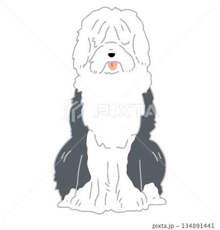 犬 手書きイラスト オールドイングリッシュシープドッグ 犬 手書きイラスト オールドイングリッシュシープドッグ 134891441
