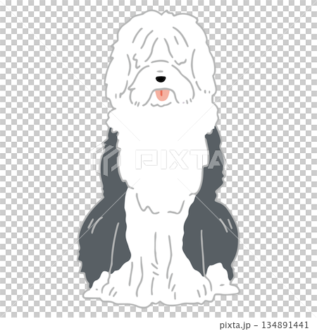 犬 手書きイラスト オールドイングリッシュシープドッグ 犬 手書きイラスト オールドイングリッシュシープドッグ 134891441