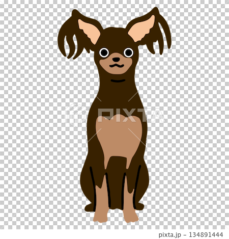 犬 手書きイラスト ロシアントイ 犬 手書きイラスト ロシアントイ 134891444