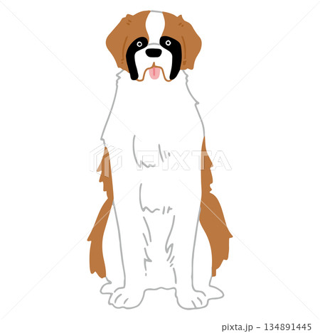 犬 手書きイラスト セントバーナード 犬 手書きイラスト セントバーナード 134891445
