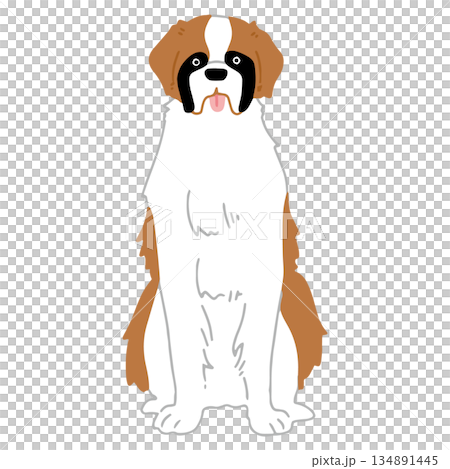 犬 手書きイラスト セントバーナード 犬 手書きイラスト セントバーナード 134891445