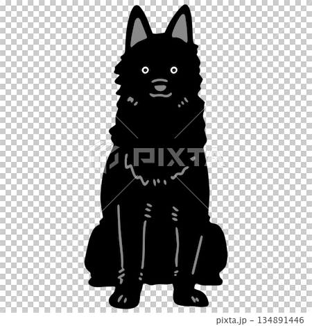 犬　手書きイラスト　スキッパーキ 134891446