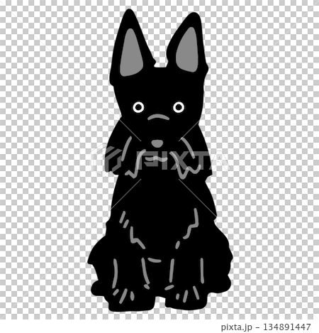 手繪蘇格蘭梗犬插圖 134891447