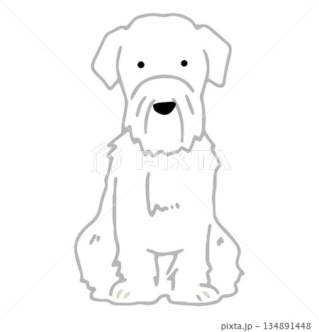 犬　手書きイラスト　シーリハムテリア 134891448