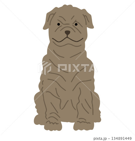 犬　手書きイラスト　シャーペイ 134891449