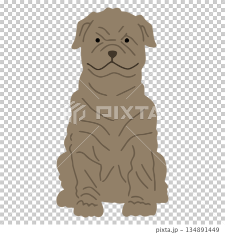手繪沙皮狗插圖 134891449