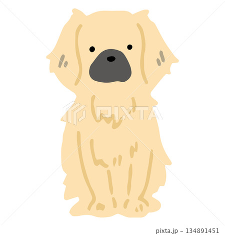 犬　手書きイラスト　チベタンスパニエル 134891451