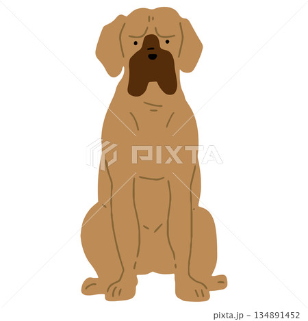 犬 手書きイラスト 土佐犬 犬 手書きイラスト 土佐犬 134891452