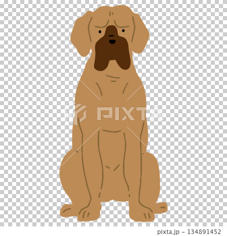 犬 手書きイラスト 土佐犬 犬 手書きイラスト 土佐犬 134891452