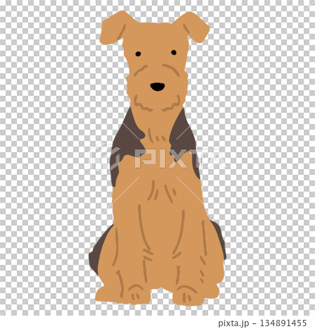 手繪威爾斯梗犬插圖 手繪威爾斯梗犬插圖 134891455