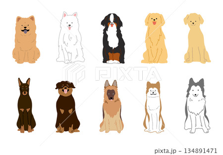 犬 手書きイラスト 大型犬 セット 犬 手書きイラスト 大型犬 セット 134891471
