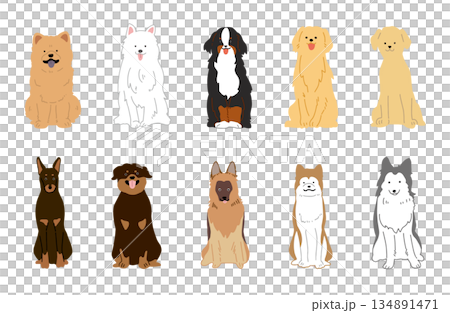 狗狗手繪插圖大狗套裝 134891471