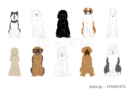 犬　手書きイラスト　大型犬　セット 134891472