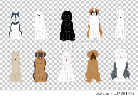 犬　手書きイラスト　大型犬　セット 134891472