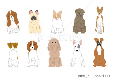 犬　手書きイラスト　中型犬　セット 134891473