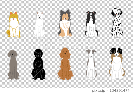 犬　手書きイラスト　中型犬　セット 134891474