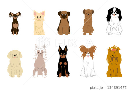 犬　手書きイラスト　小型犬　セット 134891475