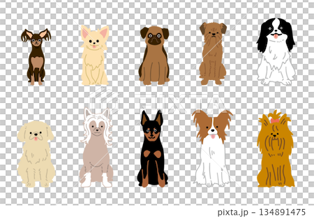 狗狗手繪插圖 小狗套裝 134891475