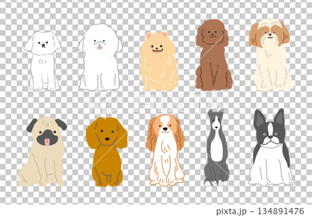 狗狗手繪插圖 小狗套裝 134891476