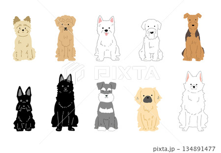 犬　手書きイラスト　小型犬　セット 134891477