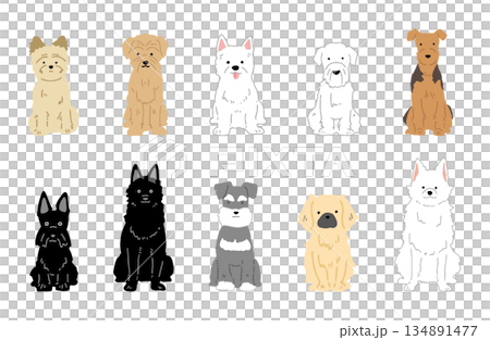 犬　手書きイラスト　小型犬　セット 134891477