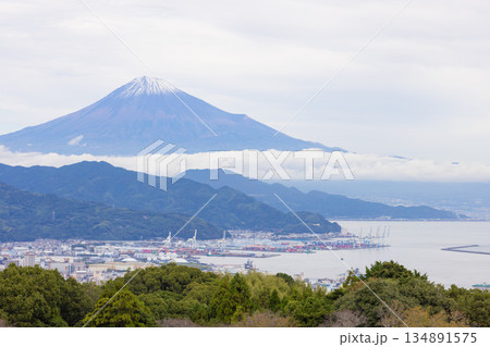 静岡から見る11月の富士山　雪化粧 134891575