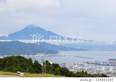 静岡から見る11月の富士山　雪化粧 134891584