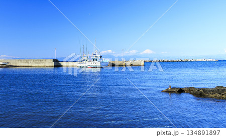 三浦半島の長井港から見た富士山 134891897