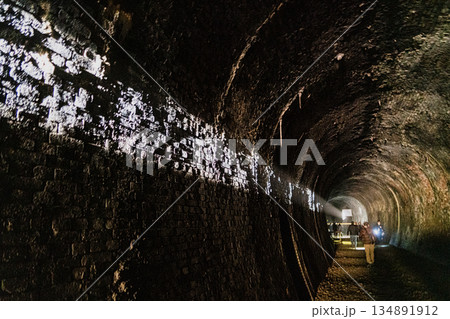 愛岐トンネル群 秋の特別公開 134891912