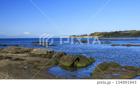 三浦半島の和田長浜の冬 134891943